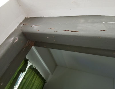 泉港区小区灭白蚁， 门框被白蚁蛀食实例